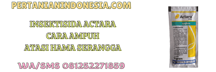 insektisida,actara,actara 25 wg,syngenta,pertanian indonesia